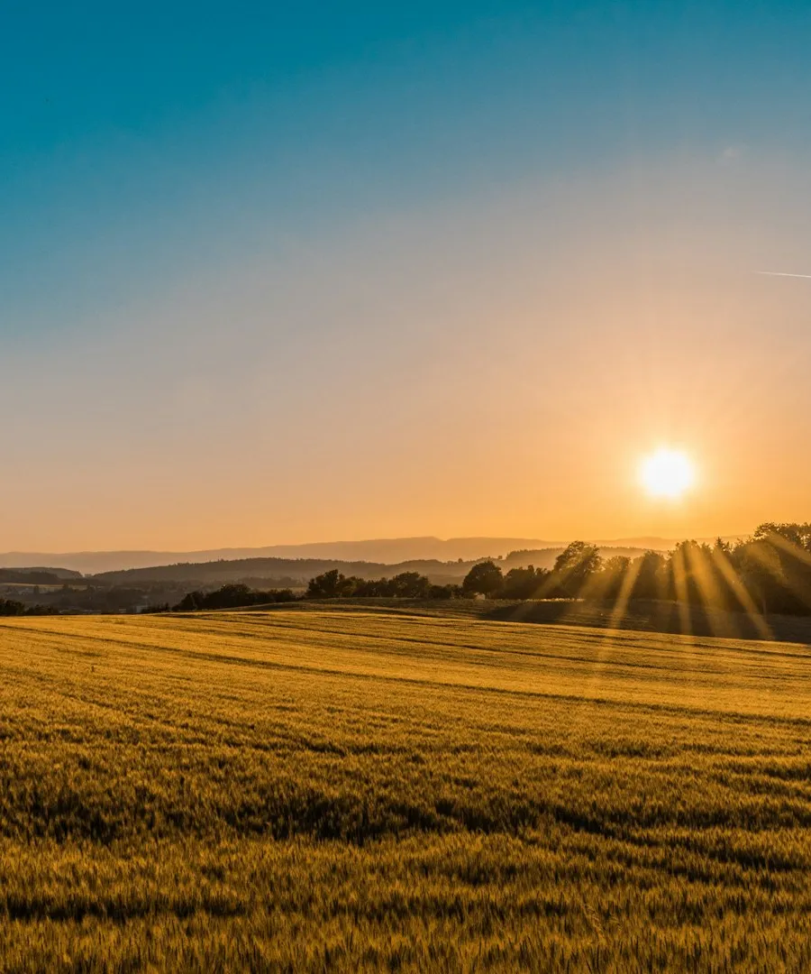 Rolling hills and a farmhouse in late light
