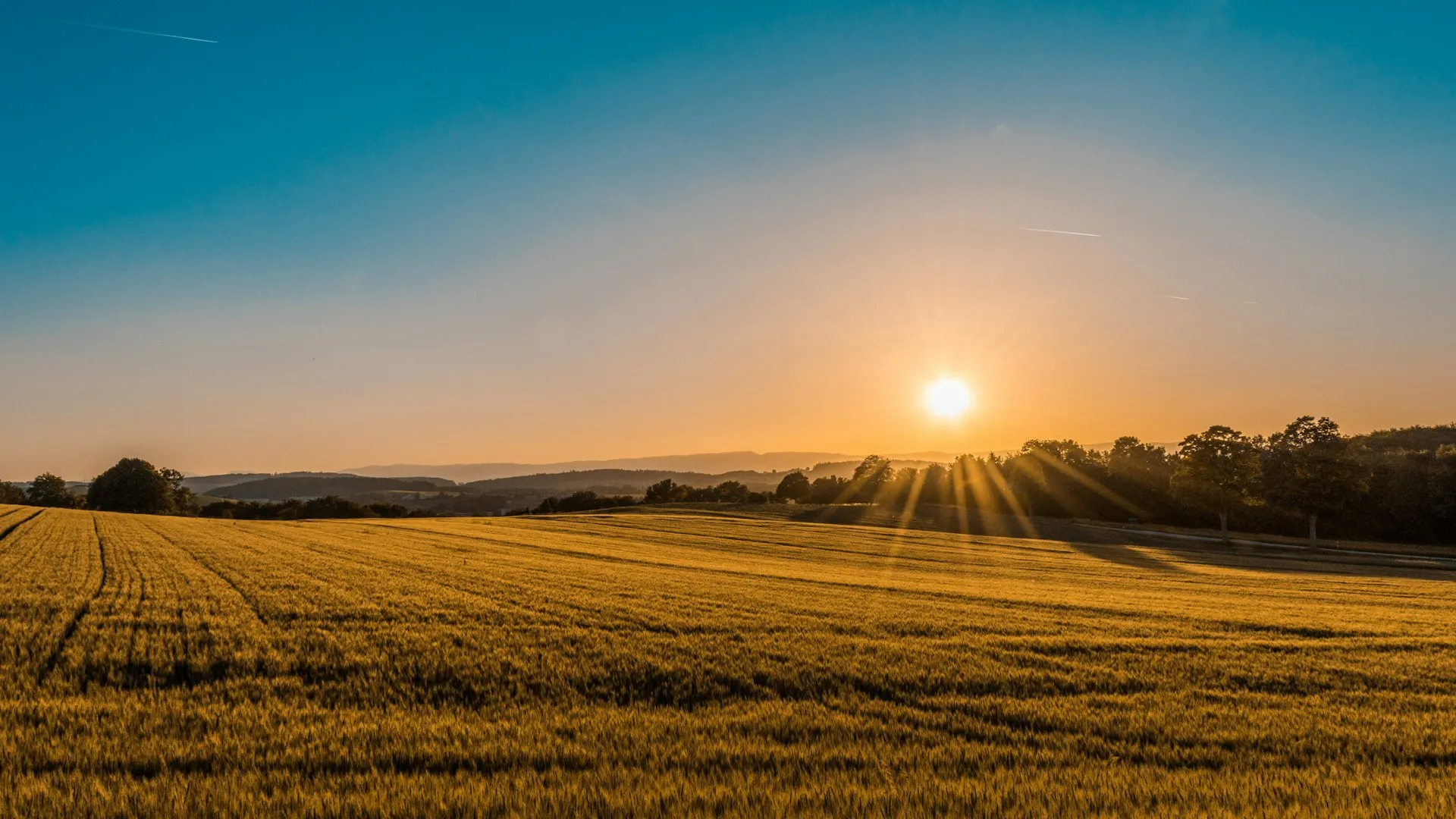 Rolling hills and a farmhouse in late light